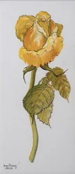 Rose jaune unique Arthur Bell 2006